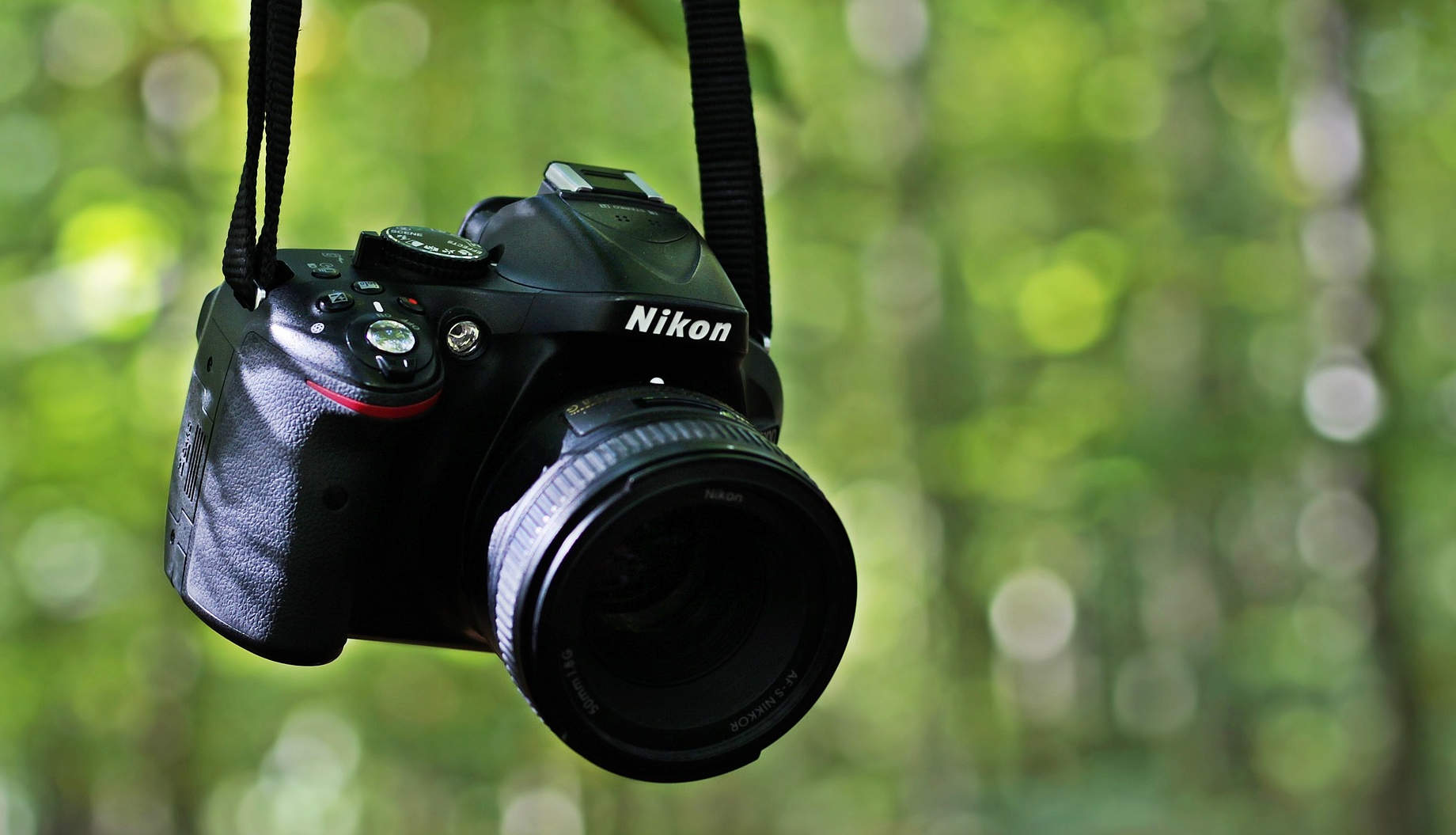 Gibraltar Ornithologicial and Natural History Society Become a Member