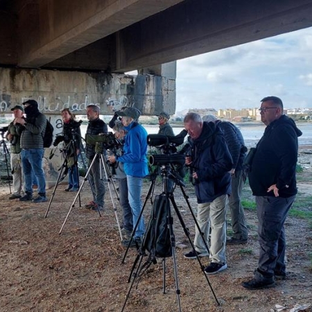birding under the bridge