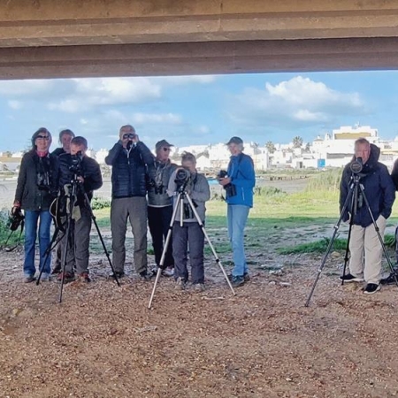 birding under the bridge