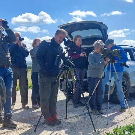 Birders