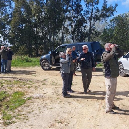 Birders